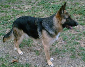 pict0012.jpg