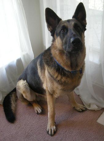 bruno003.jpg